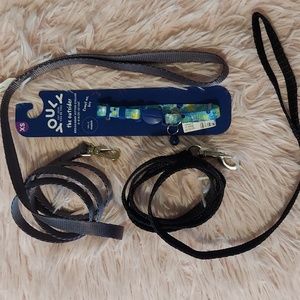 Pet collar and 2 leashes
